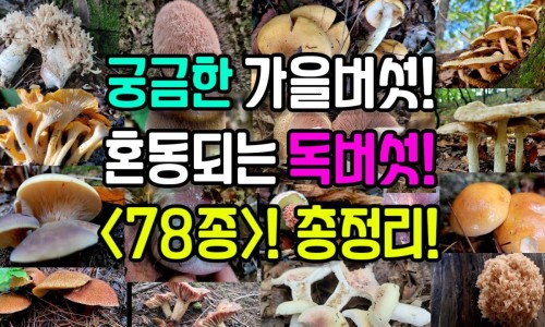 宝宝身上的胎青什么时候消掉-宝宝身上的胎记会不会跟着长大-宝宝身上长疙瘩很痒怎么办,中国宝宝身上青的什么时候会消失网站